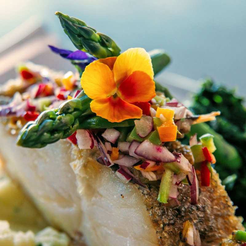 Bacalhau-a-Felgueiras-alt-1